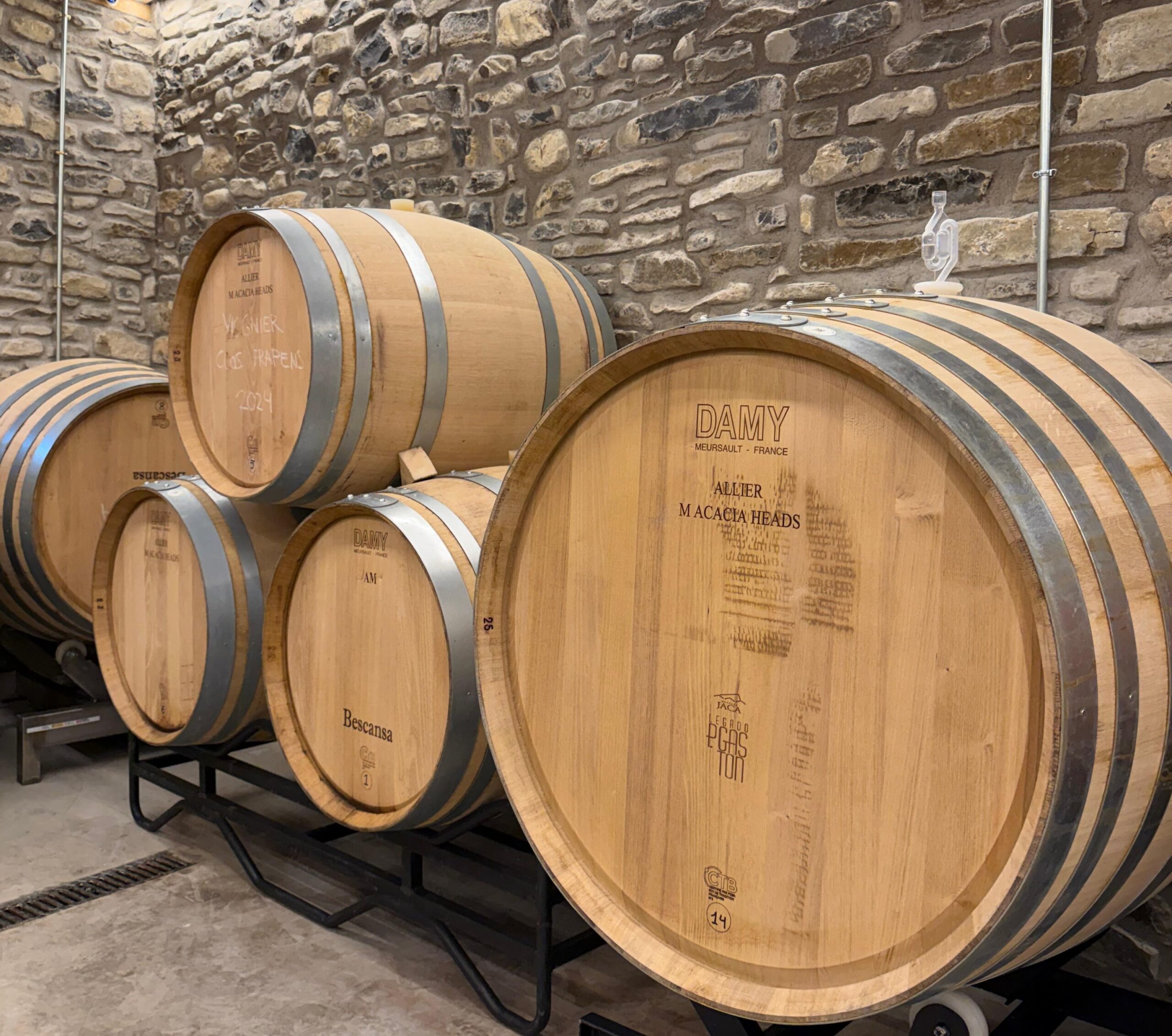 Toneles en la bodega